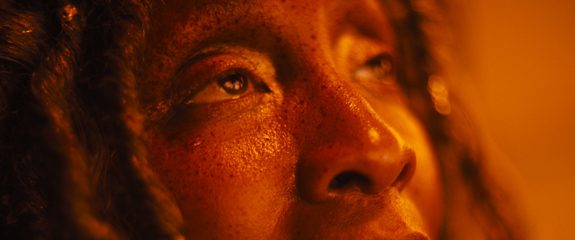 Genesis — Extreme close-up, warm amber tones